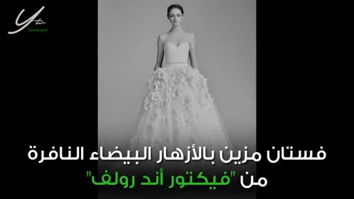 vidPBbczUsMdL.mp4441